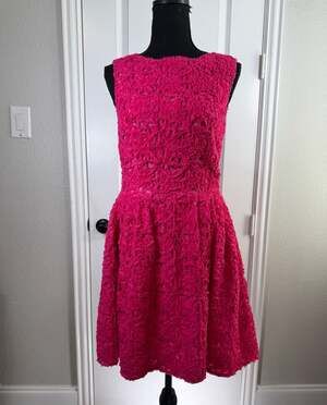 Cynthia Steffe Pink Ribbon Lace Cotton Fit & Flare Dress Size 4